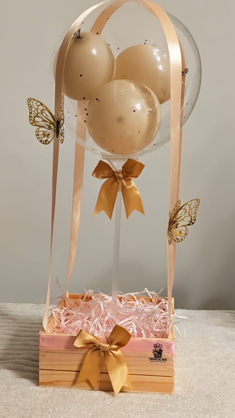 HOT AIR BALLOON (Copy)